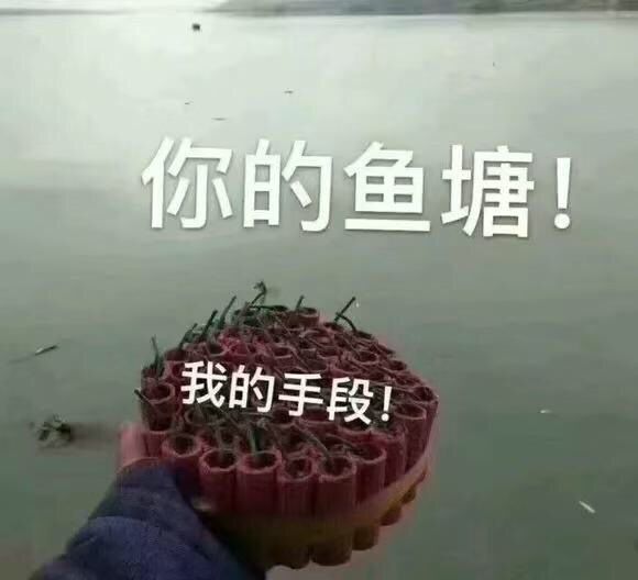 你的鱼塘！我的手段！