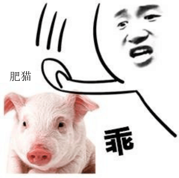 肥猫乖