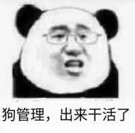 狗管理，出来干活了