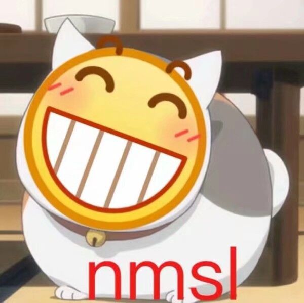 nmsl