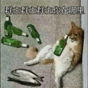 群主群你在哪里