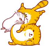 睡觉