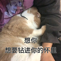 想你，想要钻进你的怀里