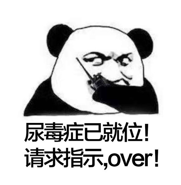 尿毒症已就位，请求指示over！