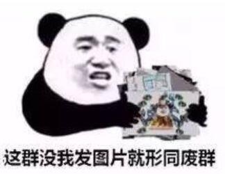 这群没我发图片，就形同废群