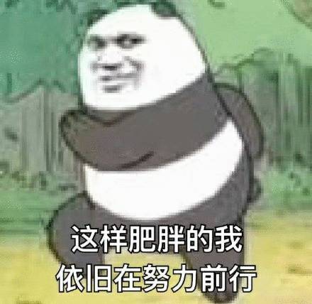 这样肥胖的我，依旧在努力前行