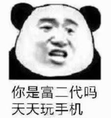 你是富二代吗？天天玩手机