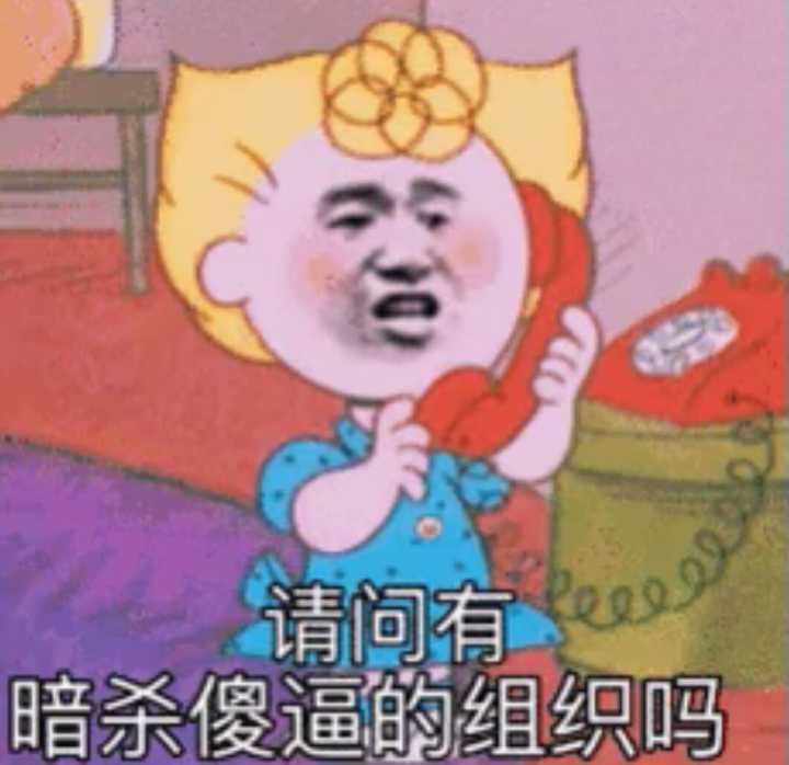 请问有暗杀傻逼的组织吗