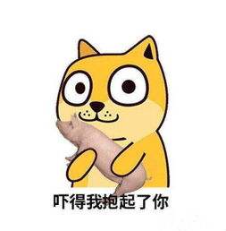 吓得我抱起了你