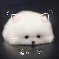 绍成一团