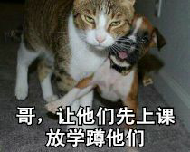 哥，让他们先上课放学蹲他们