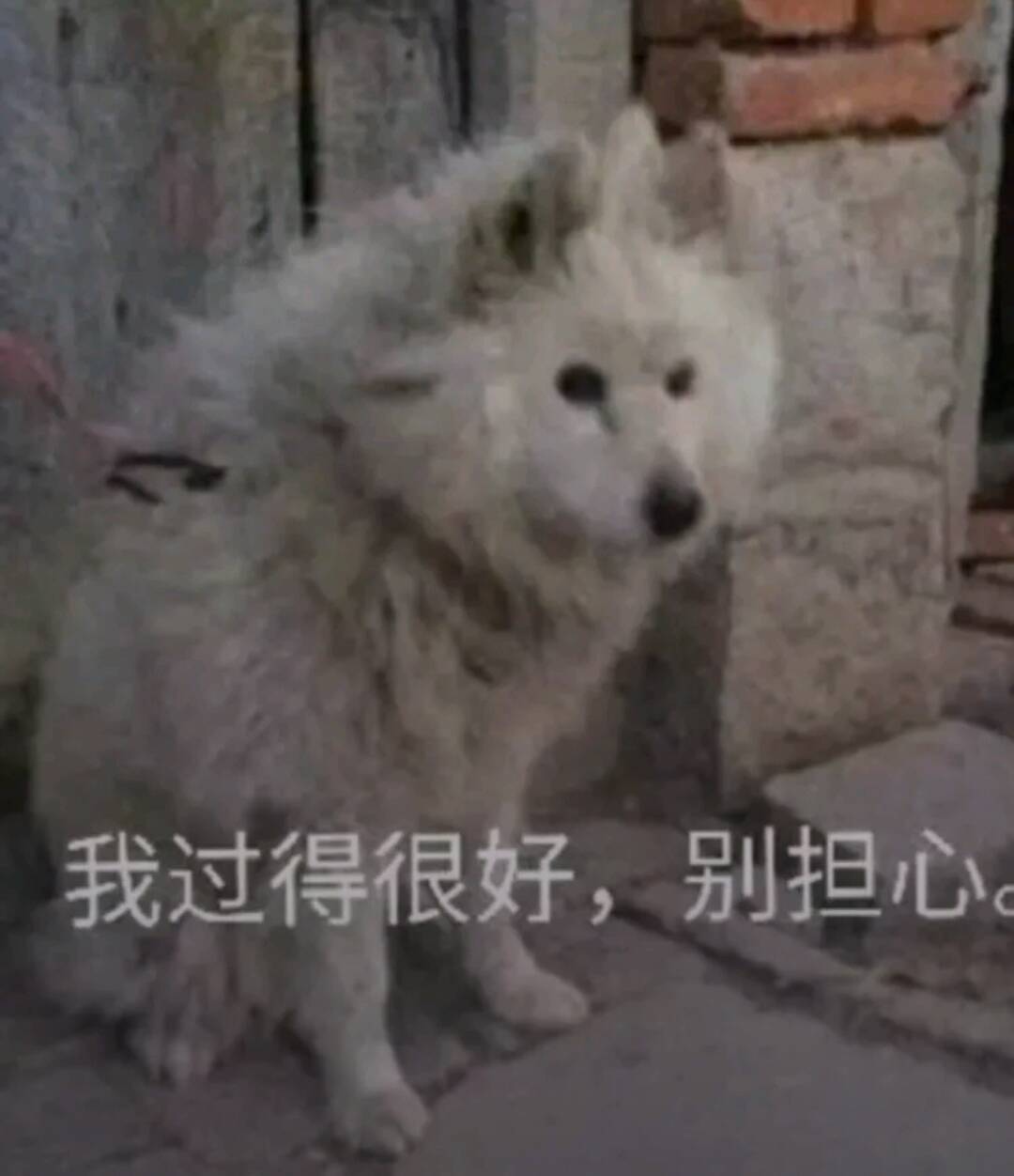 我过得很好，别担心