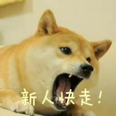 新人快走！
