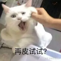 再皮试试？