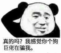 真的吗？我感觉你个狗巨佬在骗我。