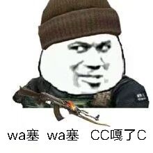 Wa塞Wa塞CC嘎了C