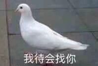 我待会找你