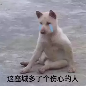 这座城多了个伤心的人