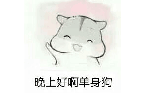 晚上好啊，单身狗