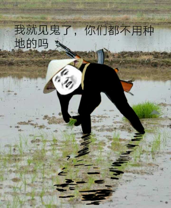 我就见鬼了，你们都不用种地的吗