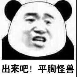 出来吧！平胸怪兽