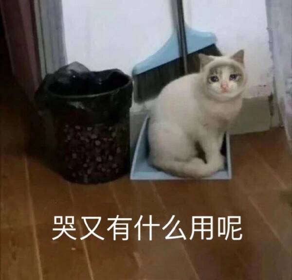 哭又有什么用呢