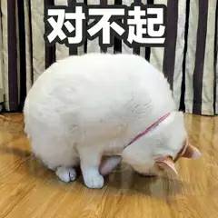 对不起