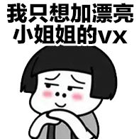 我只想加漂亮小姐姐的VX