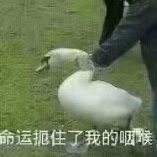 命运扼住了我的咽候