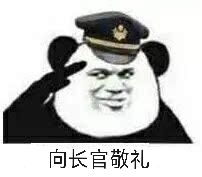 向长官敬礼