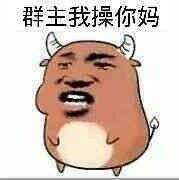 群主我操你妈