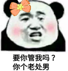 要你管我吗？你个老处男