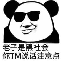 老子是黑社会，你TM说话注意点