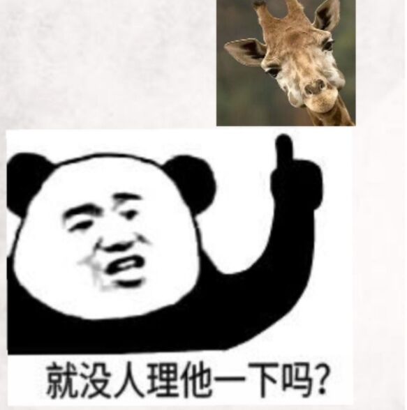 就没人理他一下吗？