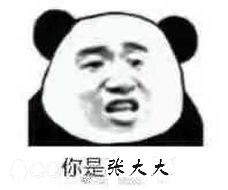 你是张大大