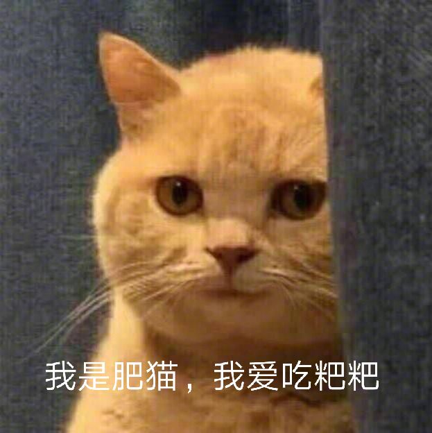 我是肥猫，我爱吃粑粑