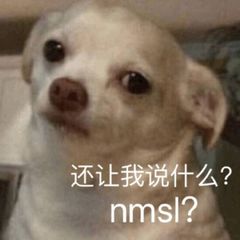 还让我说什么？nmsl？