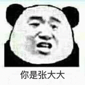 你是张大大