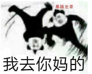 暴躁老哥我去你妈的