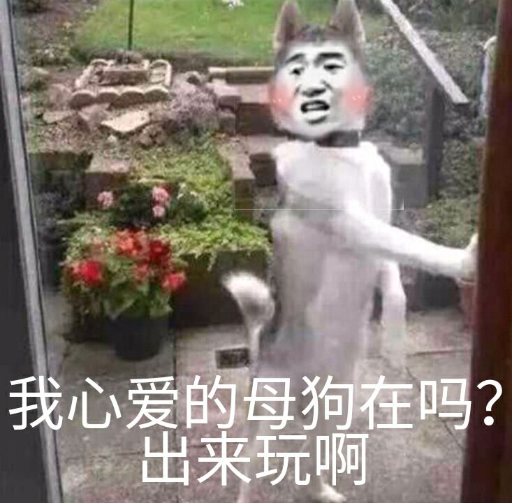 我心爱的母狗在吗？出来玩啊