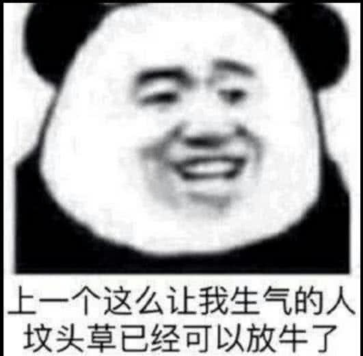 上一个这么让我生气的人，坟头草已经可以放牛了