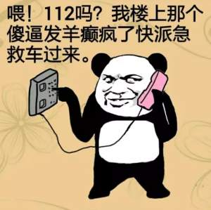 喂！112吗？我楼上那个傻逼发羊癫疯了快派急救车过来。