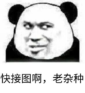 快接图啊，老杂种