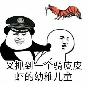 叉抓到个骑皮皮虾的幼稚儿童