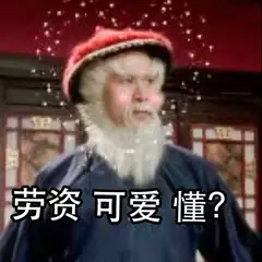 劳资可爱懂？