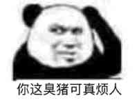 你这臭猪可真烦人