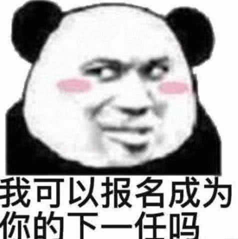 我可以报名成为你的下一任吗