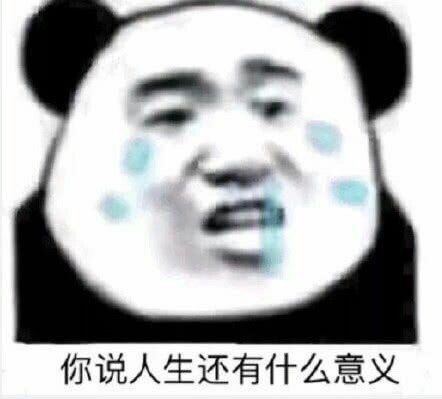 你说人生还有什么意义