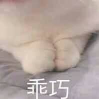 乖巧了