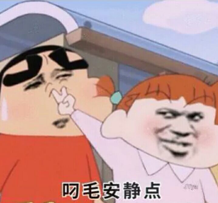 叼毛安静点
